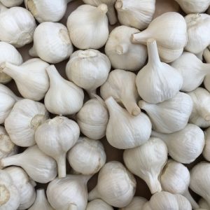 熟成乾燥たっこにんにく